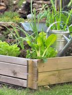 Square Foot Gardening