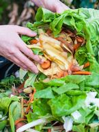 Making Compost 