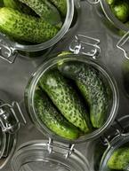 Pickled Gherkins