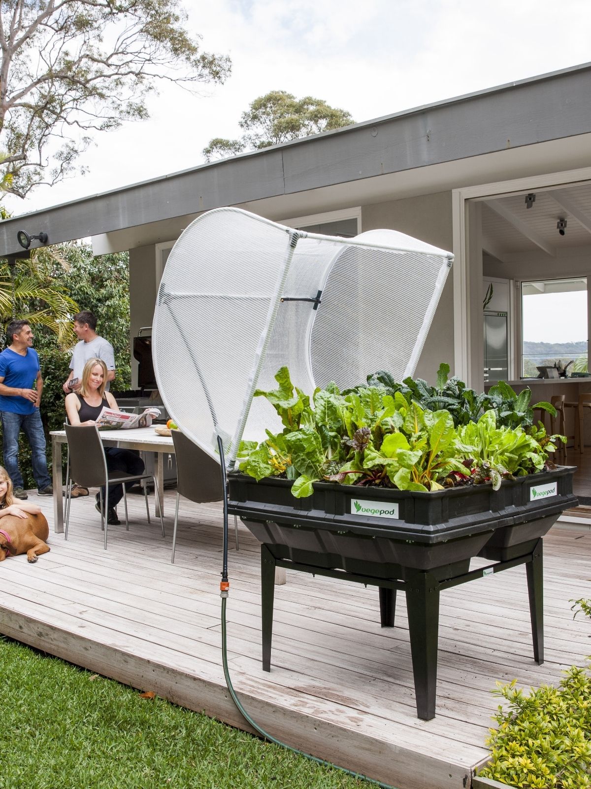 Creating a Veggie Garden Creating a Veggie Garden