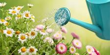 Watering Cans, Sprays, garden watering